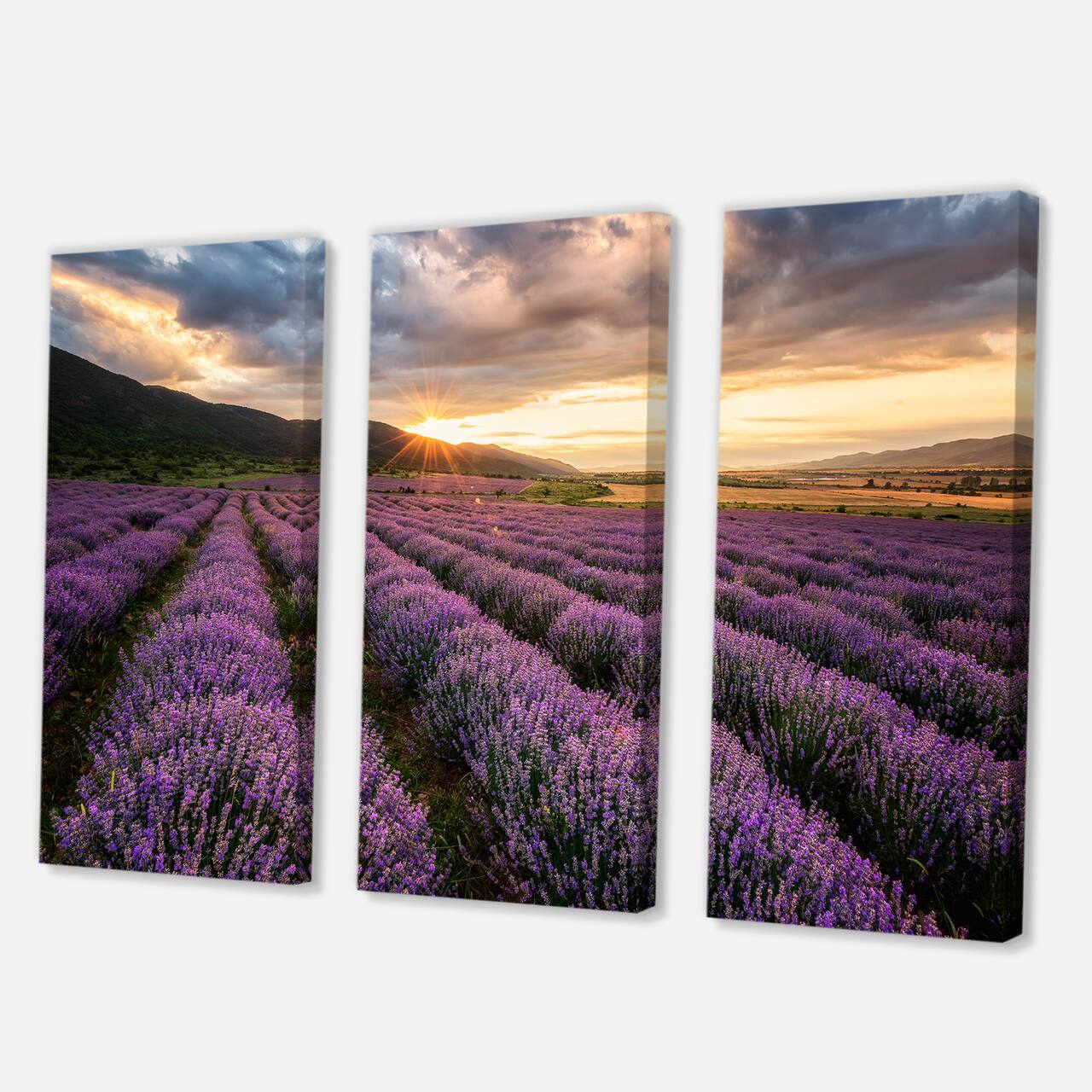 Designart - Sunrise & Dramatic Clouds Over Lavender Field VI - Farmhouse Canvas Wall Art Print